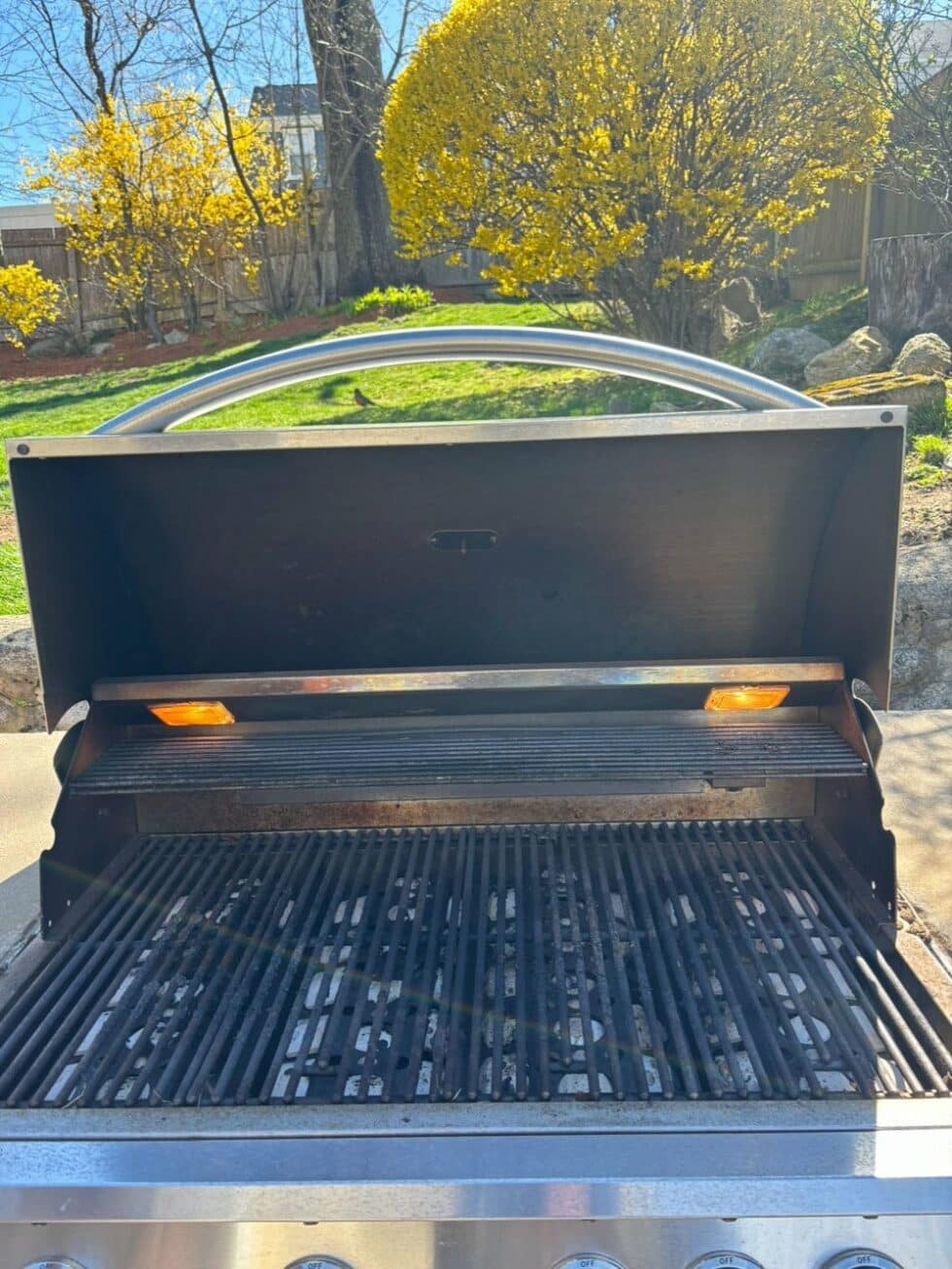 BBQ Grill Cleaning by Total Grill Cleaning